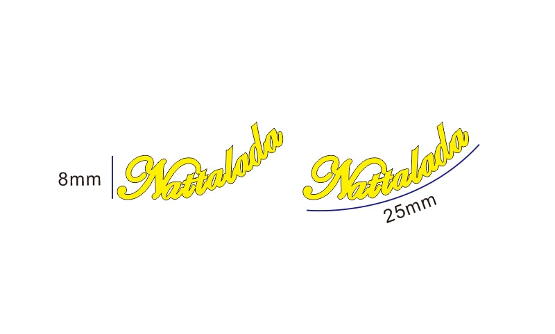 Custom Name Earrings Style ER50