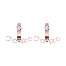 Cargar imagen en el visor de la galería, Custom Name Earrings Style ER50
